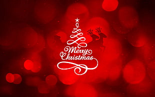 Merry Christmas greeting e-poster HD wallpaper