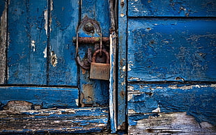 brown metal padlock, wood, wooden surface, door, blue HD wallpaper