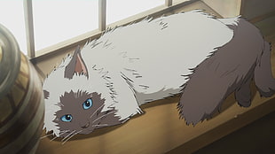 himalayan cat anime, cat, anime, Granblue Fantasy HD wallpaper
