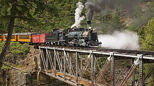 black, yellow, and red train, nature, landscape, rock, bridge