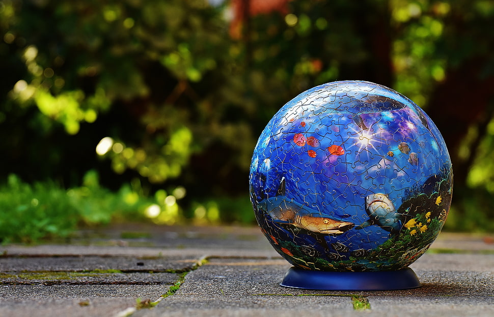 sea-themed water globe HD wallpaper