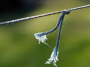 close up photo of gray rope HD wallpaper