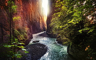 river between valley, river, nature, landscape