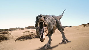tyrannosaurus Rex CGI HD wallpaper