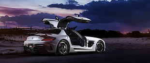 silver coupe, Mercedes-Benz SLS AMG, gull wing door, rear view, car HD wallpaper