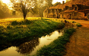 green grass, landscape, house, trees, nature