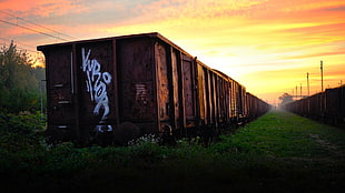 brown steel train cargo, landscape HD wallpaper