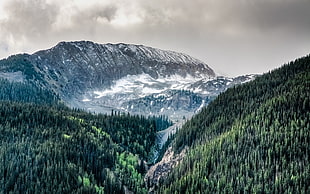black and white fur textile, nature, landscape, Colorado, mountains HD wallpaper