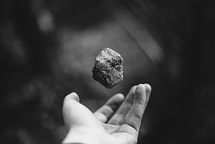 grayscale photo of person catching stone, hands, rock, stones, monochrome HD wallpaper