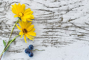 yellow flowers on top of white wooden table