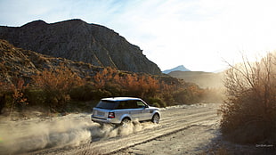 silver SUV, Range Rover, car HD wallpaper