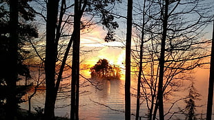 black metal 3-layer rack, Lake Keowee, South Carolina, trees, island HD wallpaper