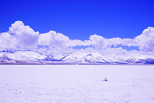 photography of Green Land during daytime, namtso lake