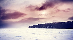 silhouette of trees, forest, clouds, snow, winter