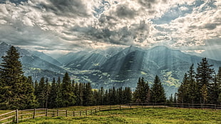 pine trees and mountains, landscape, sun rays, nature, mountains