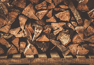 brown wooden tree planks, wood, firewood, nature HD wallpaper
