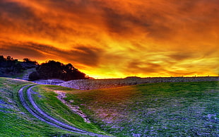 green grass field photography during sunset