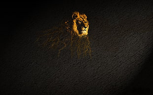 brown lion illustration, artwork, lion HD wallpaper