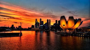 City Lights and buildings near body of water during night time