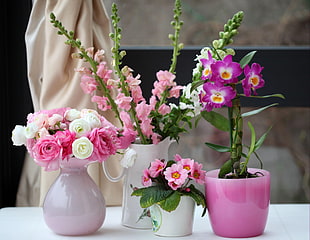 white and pink Roses with pink Primroses and pink Orchids in pot centerpieces HD wallpaper