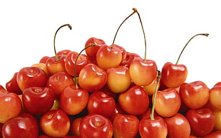 closeup photo of bunch of cherry fruits HD wallpaper