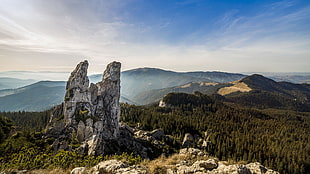 brown mountain, landscape, mountains, forest