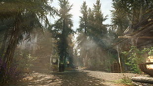 green leafed trees, The Elder Scrolls V: Skyrim, nature, town