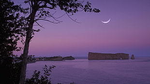 crescent moon over brown rock on body of water HD wallpaper