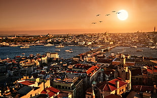 aerial photography of buildings in between body of water during golden hour