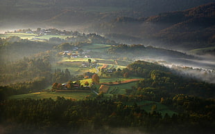 village surrounded by green leaf trees painting