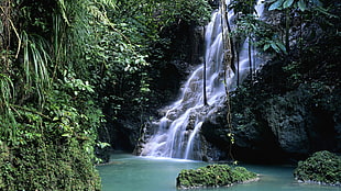 person taking photo of falls with green leafed trees