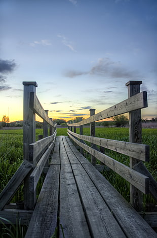 pathway between wooden bridge along rice field during daytime HD wallpaper