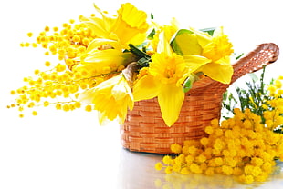yellow petaled flowers on brown woven basket HD wallpaper