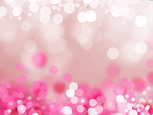 pink and white lights HD wallpaper