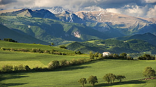 green grass field near mountain, hills, mountains, power lines, trees HD wallpaper