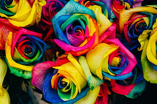 bunch of multicolored flowers HD wallpaper
