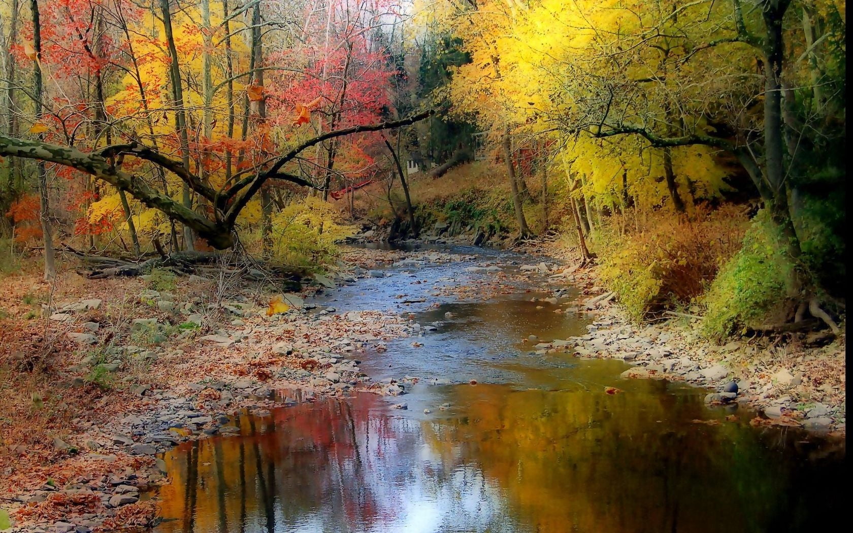 timelapse photography of water stream surrounded by trees