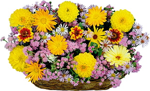 basket of yellow and pink petaled flowers HD wallpaper