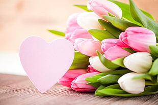 pink and white tulip flower bouquet