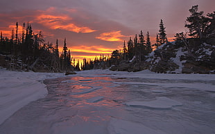 landscape photography of frozen river between trees during golden hour