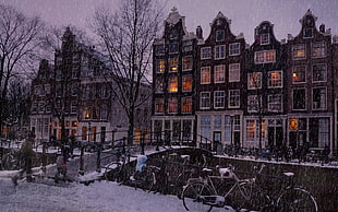 bicycles and bare trees, building, city, snow, winter