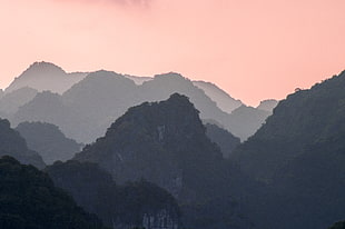 mountain and trees, Vietnam, sunset, landscape, nature