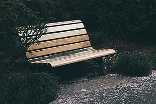 brown wooden bench