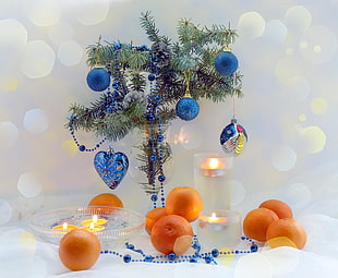 green leaf plant with blue baubles on clear glass vase