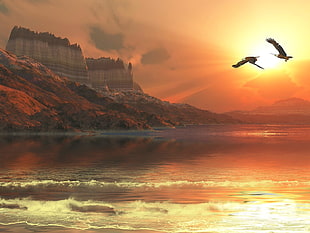 two brown flying birds digital wallpaper, nature, landscape, eagle, flying HD wallpaper
