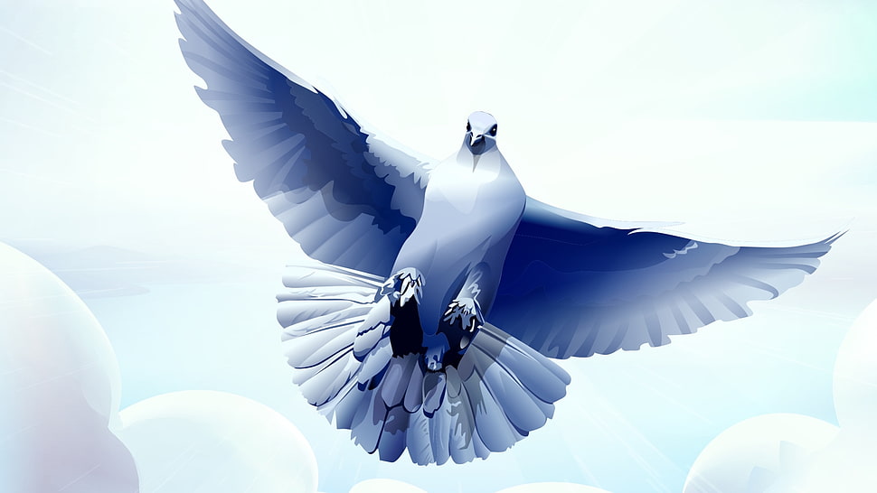 white bird illustration HD wallpaper