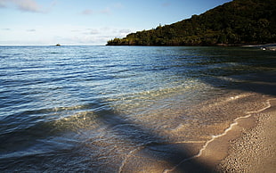 body of water, sea, beach, nature