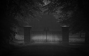 wrought iron gate, nature, landscape, monochrome, dark HD wallpaper