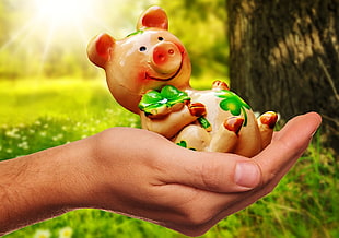 person holding white, green, and brown ceramic pig figurine HD wallpaper