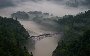 brown steel bridge, landscape, nature, forest, bridge HD wallpaper